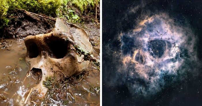 77 Stories Of High Strangeness That Might Send You Down A Late-Night Rabbit Hole