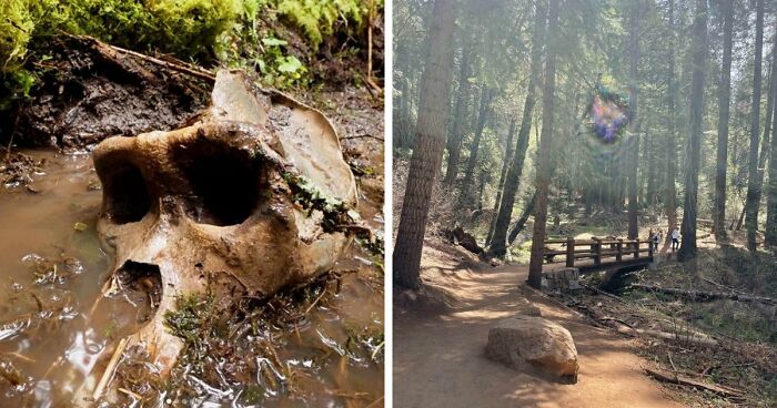 77 Stories Of High Strangeness That Might Send You Down A Late-Night Rabbit Hole