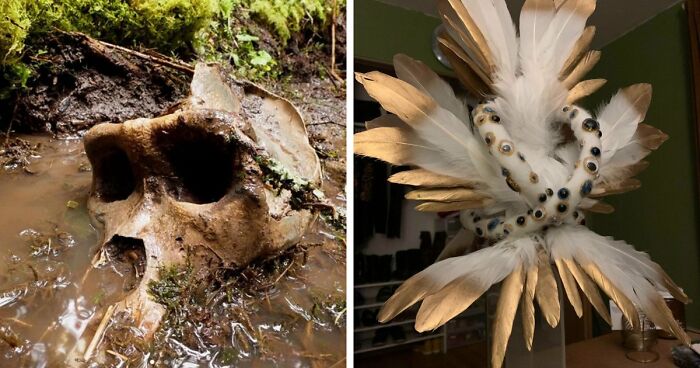 77 Stories Of High Strangeness That Might Send You Down A Late-Night Rabbit Hole