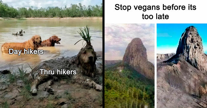 75 Memes That Capture The Best, Worst, And Funniest Parts Of Life Outdoors