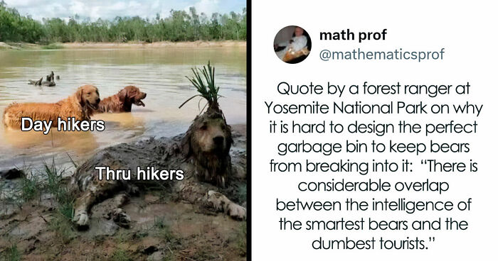 75 Memes That Capture The Best, Worst, And Funniest Parts Of Life Outdoors