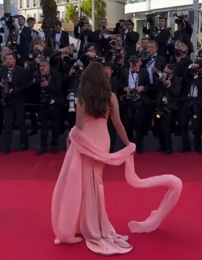 'Para quem ela está acenando?': Reações hilariantes após a atriz ser 'ignorada' no tapete vermelho de Cannes