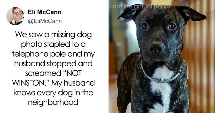 51 Funny Tweets That Are Hilarious Examples Why Having A Husband Is Never Boring (New Pics)