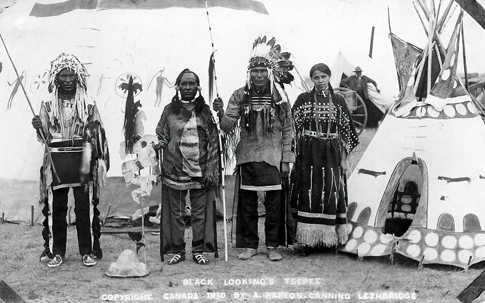 What Did Native Americans Use To Wipe Their Butts?
