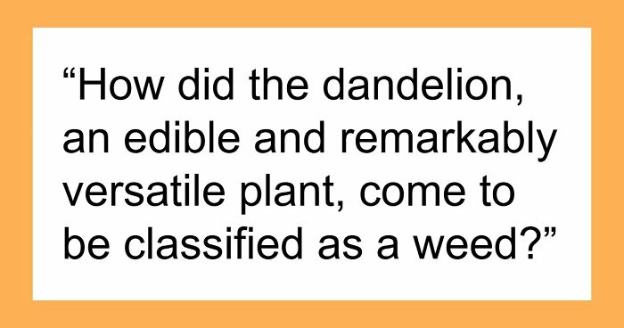 30 Times People Had Questions For Historians, And They Gladly Answered Them
