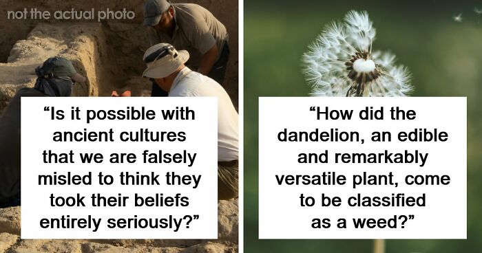 30 Times People Had Questions For Historians, And They Gladly Answered Them