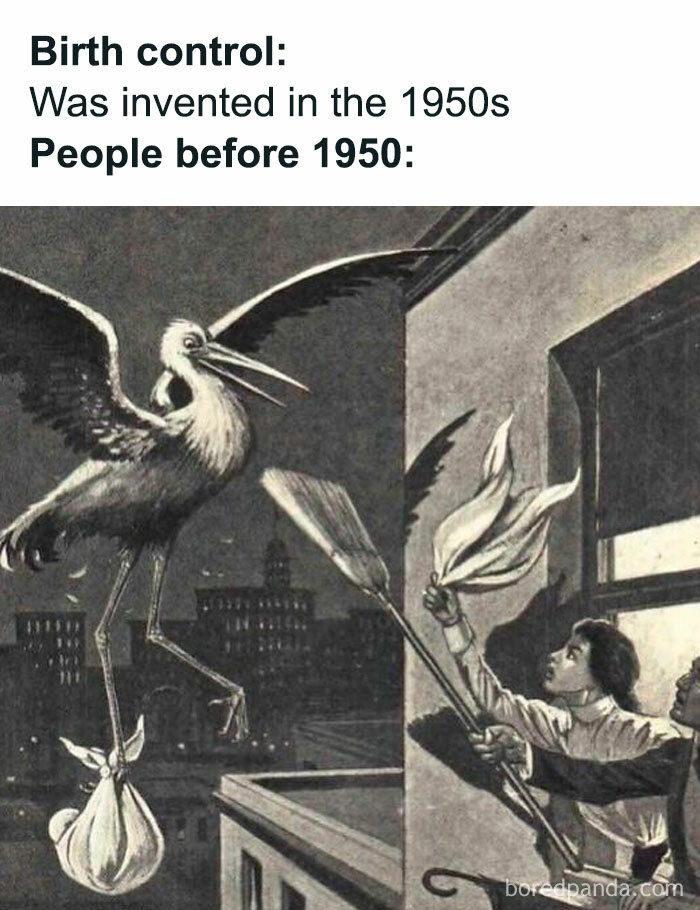 Funny history meme of a stork delivering a baby and people trying to swat it away. Birth control wasn't invented until the 1950s.