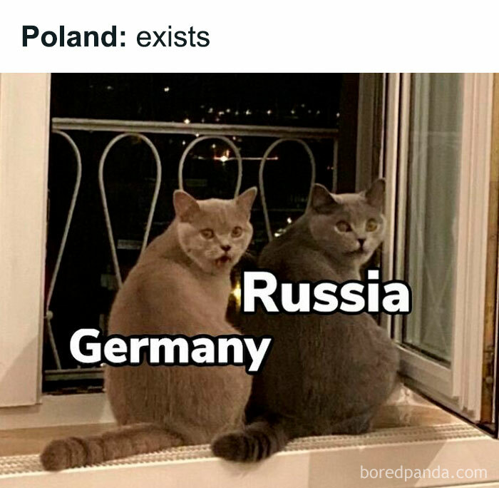Funny history meme of two cats labeled Germany and Russia, looking surprised. Top text: Poland: exists.