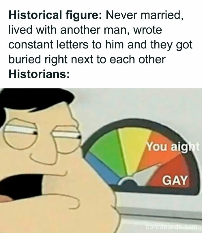 Funny history meme showing a cartoon character looking confused at a sexuality meter, pointing to "Gay."