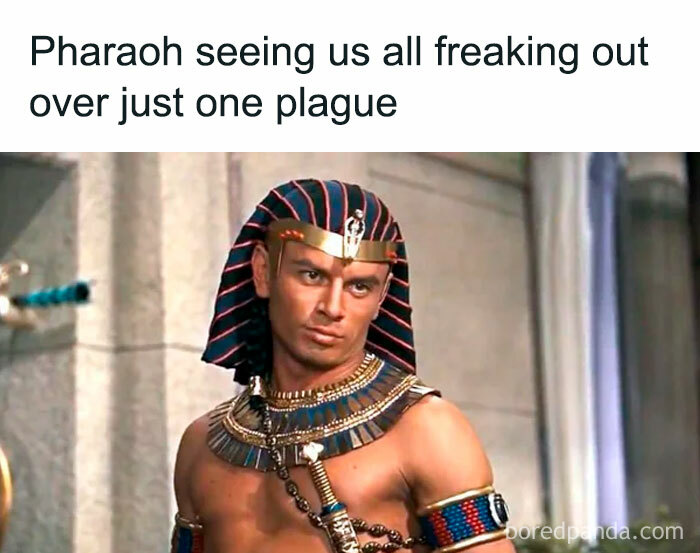 A funny history meme showing Pharaoh in ancient Egyptian regalia looking unimpressed by modern panic over a single plague.