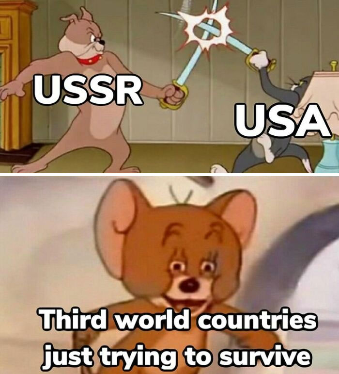 Funny history meme depicting Tom and Jerry as the USSR and USA fighting, while third world countries (Jerry) try to survive.