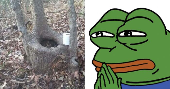 81 “Hmmmm” Images That Live Rent-Free In People’s Minds