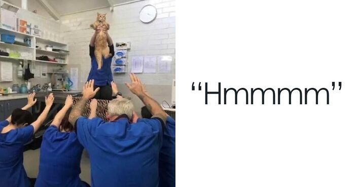 81 “Hmmmm” Images That Live Rent-Free In People’s Minds