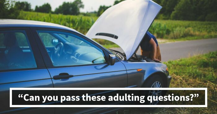 Only True Grown-Ups Can Pass These 16 Adulting Questions Without Guessing – See How Well You Do