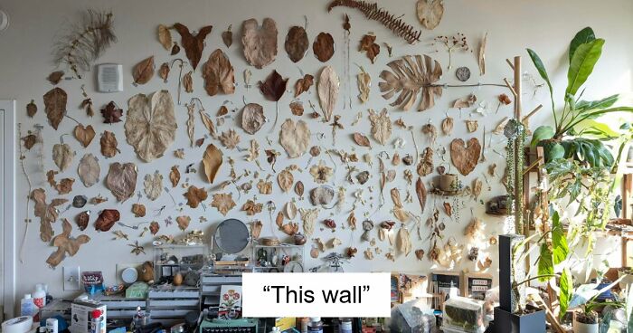 115 Times Designers Forgot Things Need To Be Cleaned When Creating Them