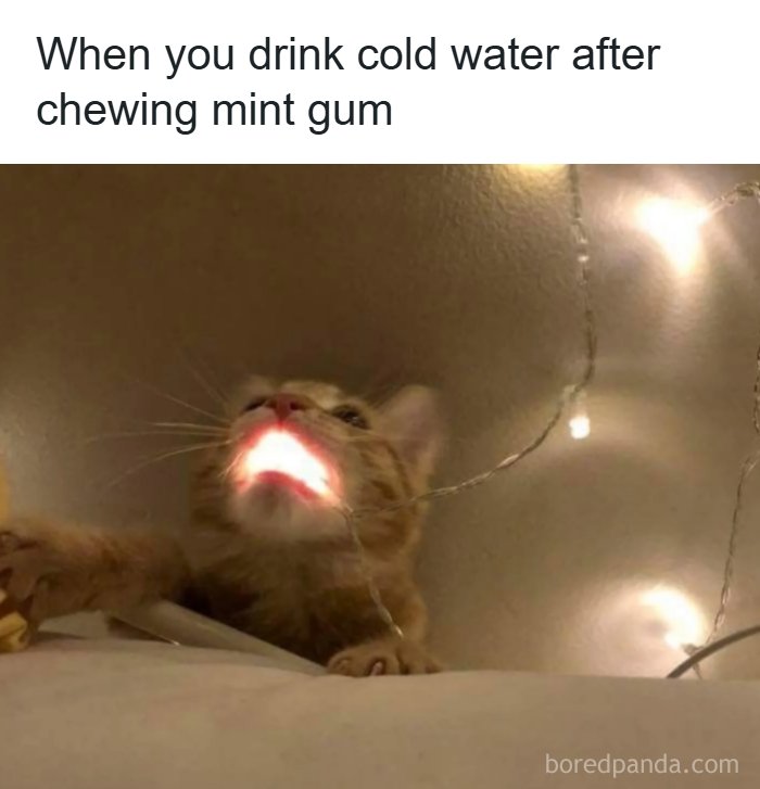 Oh Boy, That Was Cold