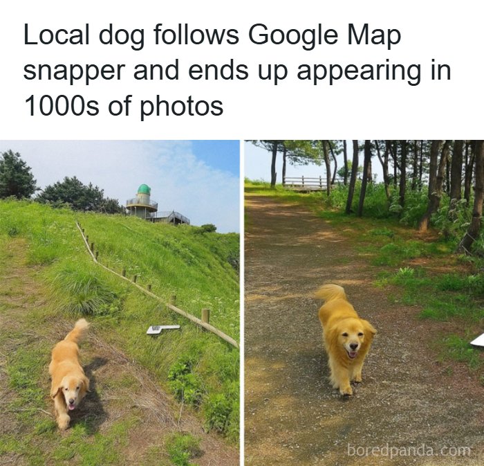 Wholesome-Memes-Memeuplift