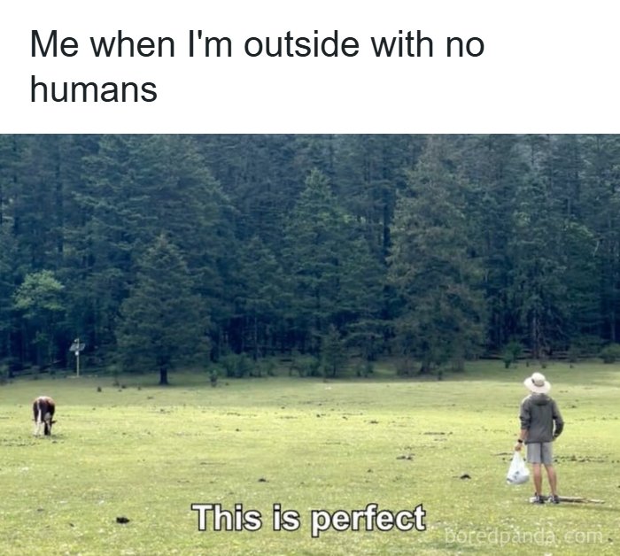 A man in a hat stands in a vast, empty field with a forest background, appreciating the quiet. A wholesome meme.
