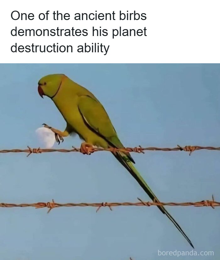 Parrot claw on barbed wire showing destruction in top-tier random memes