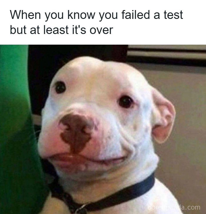A white dog with a slight smile, next to text about failing a test. A relatable meme about relief.