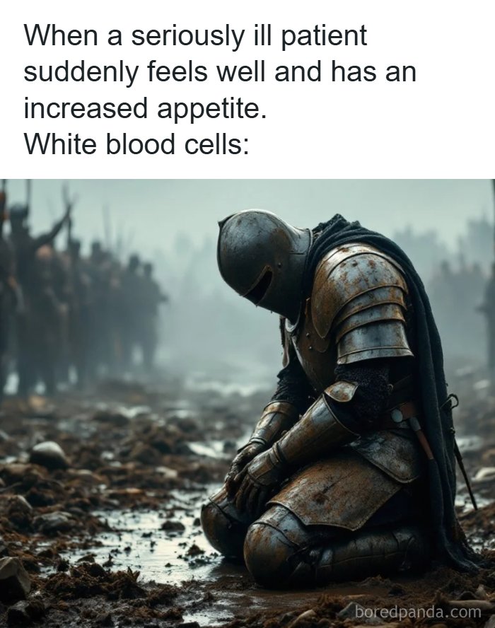 Knight kneeling in battlefield with text about white blood cells and patient appetite internet content