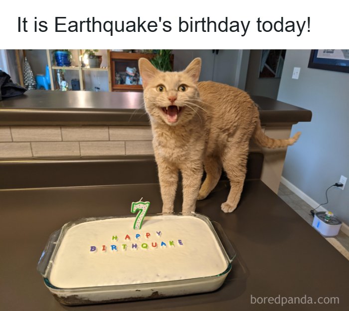 Wholesome-Memes-Memeuplift