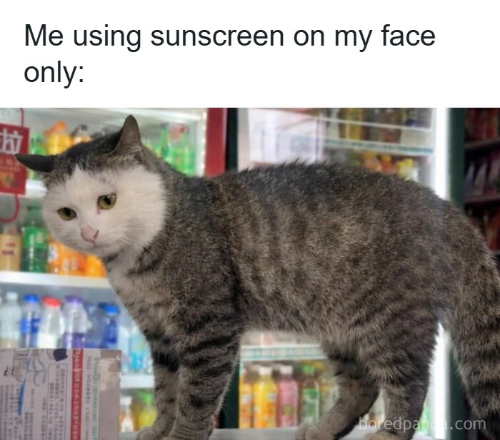 A funny cat meme: a tabby cat with a white face, appearing as if it only applied sunscreen to its face.