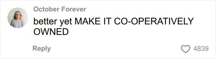 A comment on social media: "better yet MAKE IT CO-OPERATIVELY OWNED", with a Spirit Airlines joke context.