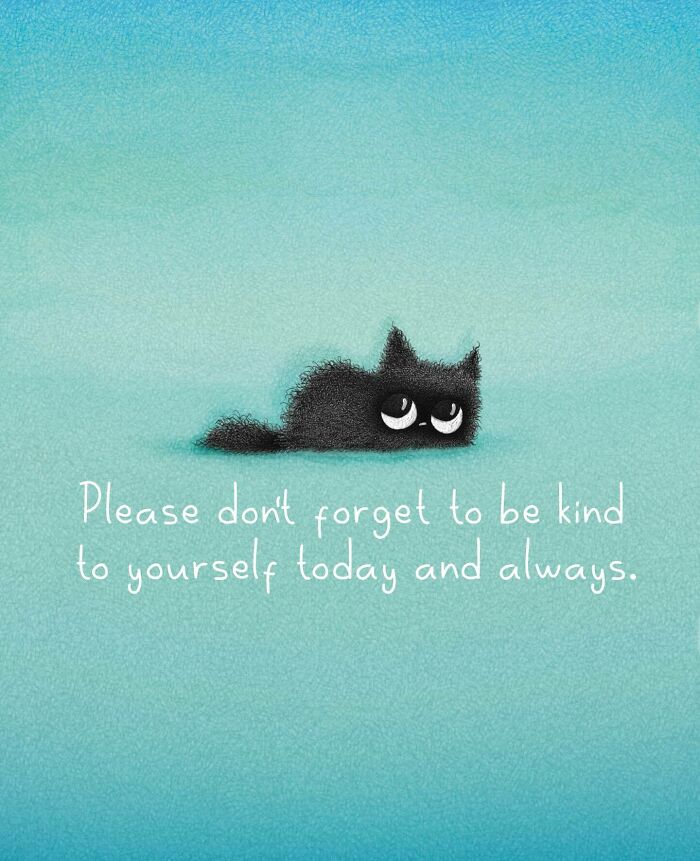 Cat Illustrations Luis Coelho