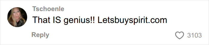 A comment praising the idea to buy Spirit Airlines, showing a user profile picture and 3103 likes.