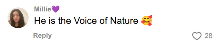 A social media comment from Millie saying, He is the Voice of Nature with a heart-eye emoji, showing public affection for David Attenborough.