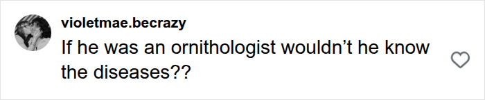 A user comment asking if an ornithologist would know hantavirus diseases, related to Patient Zero.