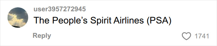 A social media comment suggesting The People's Spirit Airlines (PSA), with 1741 likes, related to buying Spirit Airlines.