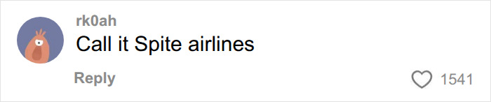 A user comment on Spirit Airlines reads, "Call it Spite airlines," with 1541 likes, reflecting internet humor.