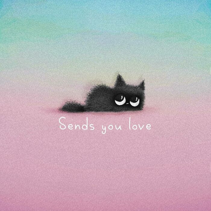 Cat Illustrations Luis Coelho