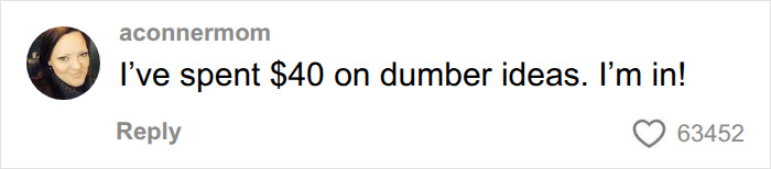 A user comments I've spent $40 on dumber ideas. I'm in! in response to buying Spirit Airlines with many likes.