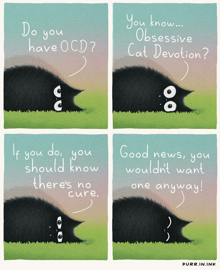 Cat Illustrations Luis Coelho