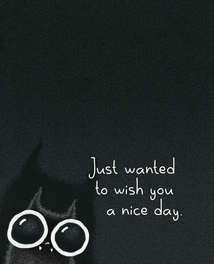 Cat Illustrations Luis Coelho