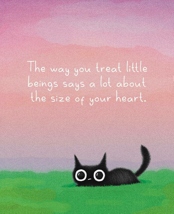 Cat Illustrations Luis Coelho