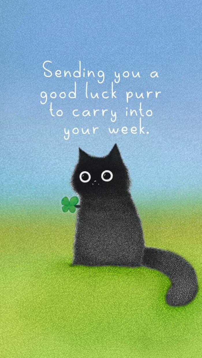 Cat Illustrations Luis Coelho