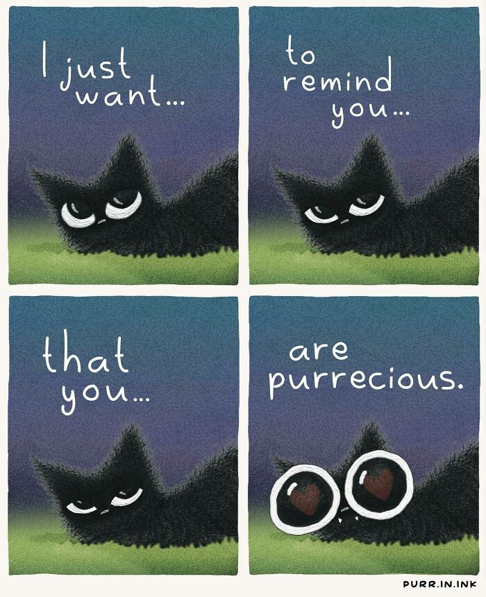 Cat Illustrations Luis Coelho