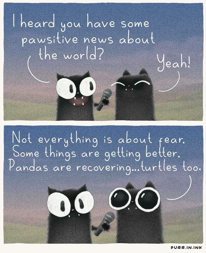 Cat Illustrations Luis Coelho