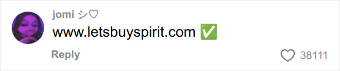 Man Posted A Joke About Buying Spirit Airlines, The Internet Raised $132M And Crashed His Site
