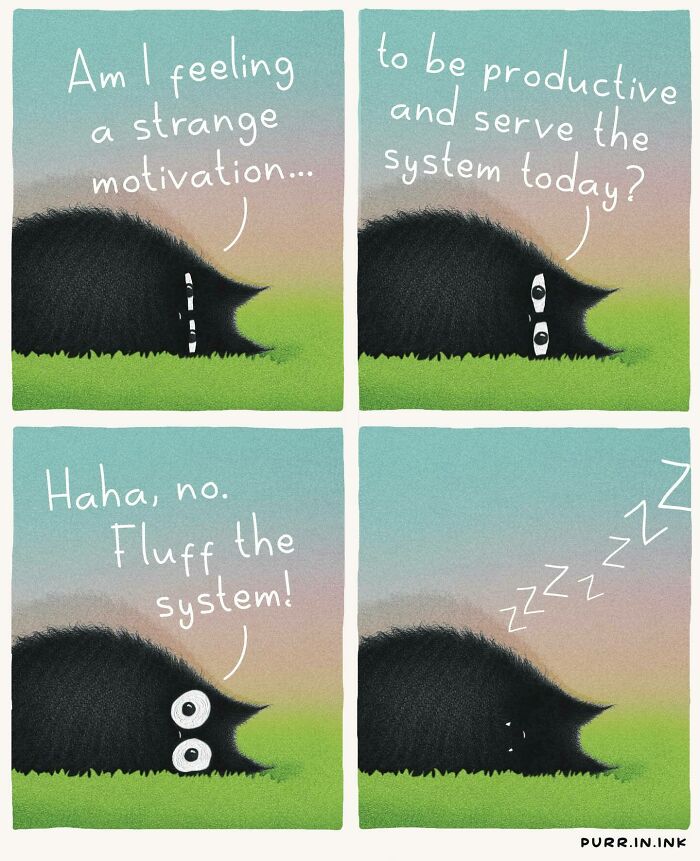 Cat Illustrations Luis Coelho