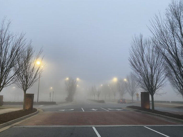 Foggy street scene with bare trees and glowing streetlights in eerie atmosphere