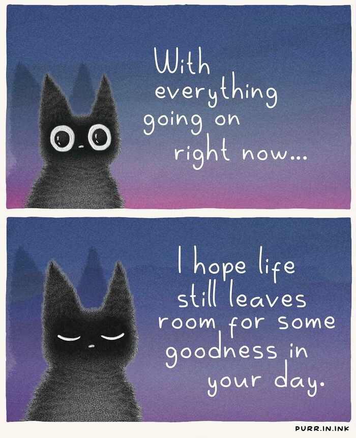 Cat Illustrations Luis Coelho