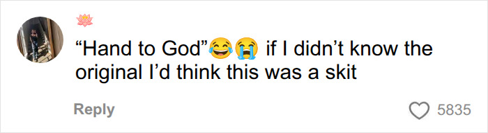 Commenter reacts to hand to God phrase in ticket incident Commenter reacts to hand to God phrase in ticket incident