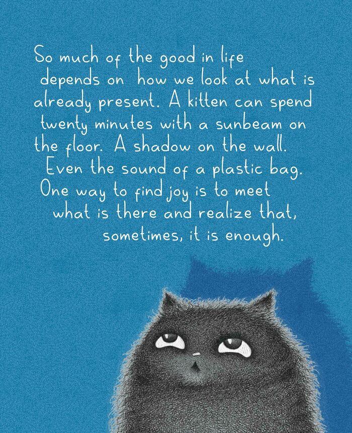 Cat Illustrations Luis Coelho