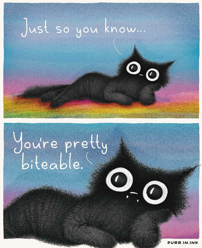 Cat Illustrations Luis Coelho