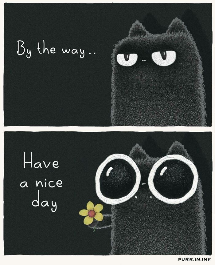 Cat Illustrations Luis Coelho